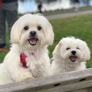 Meet your Posher, Luke